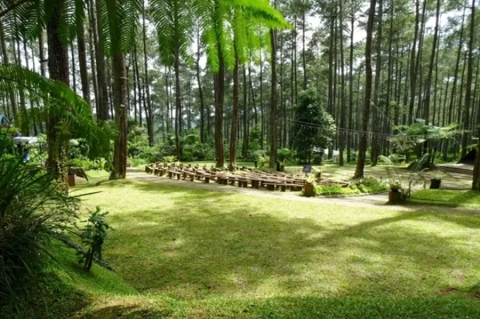 Wisata Lembang, Panduan Menjelajahi Pesona Alam dan Budaya di Jawa Barat